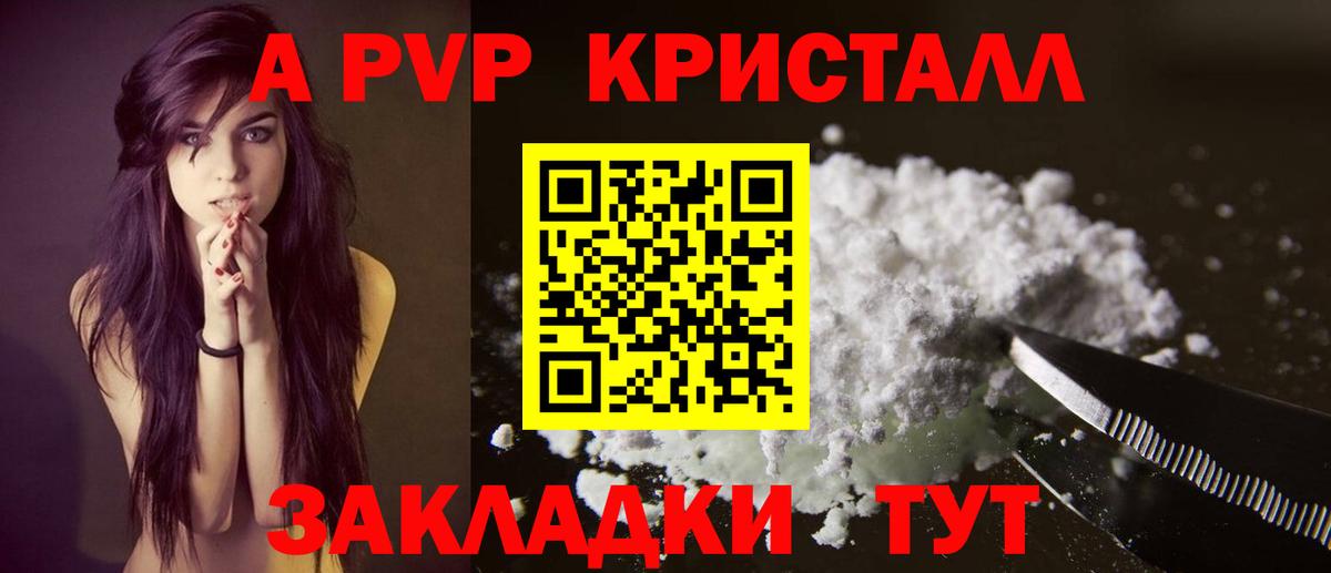 Альфа ПВП СК КРИС Тимашёвск